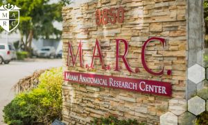 instituto de estudos em cadáveres