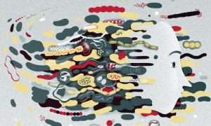 bacterias-intestino-cerebro