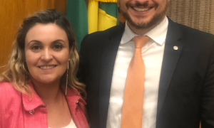 dra-ana-deputado