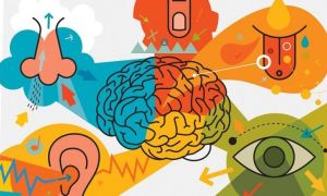 marketing-sensorial-marketing-com-cafe