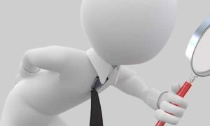 Fiscalização - conselhos